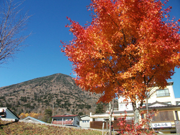 *秋の奥日光/日光山水周辺でも紅葉が美しくご覧いただけます