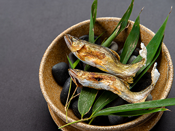 【夕食一例】夏季限定・天然鮎づくし会席（鮎の塩焼き）