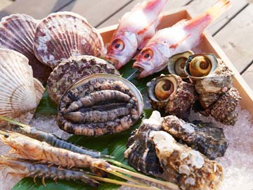 【炭火焼懐石】食材一例。若狭で獲れた新鮮な魚介類を使用しております。