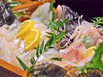 ぴちぴちのお魚