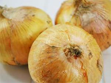 *淡路島でたまねぎ栽培はいかがですか？団体予約も受付中★