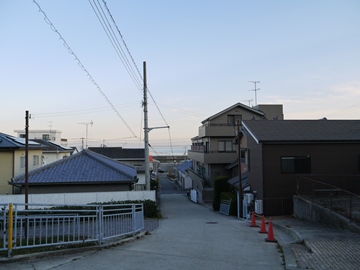 *のんびりと流れる島時間。ビジネスでもご旅行でも…。島の温かさをお楽しみください。