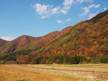 *季節の風景(秋)／稲刈りが終わるころには、空も高く山々の色づきも鮮やかさを増してきます。