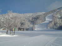 *ゲレンデ/木々も雪化粧をしたゲレンデが当館目の前に広がります