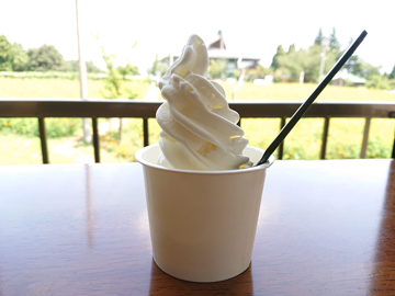 *自家製乳酸菌ジェラート