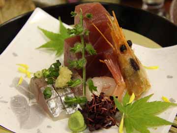 ご夕食一例。新鮮旬魚のお刺身。