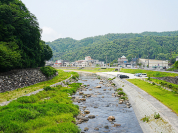 *黒毛あさがお_川