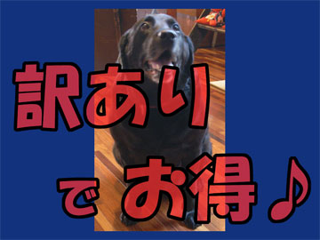 ★訳ありプラン★