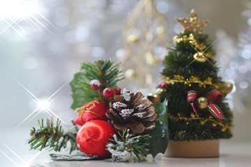 *クリスマス当館特製ディナープラン