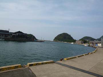 【漁港もすぐそこ】とれたて新鮮な海の幸がたっぷり★
