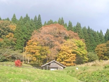 秋には周囲の木々が色づきます