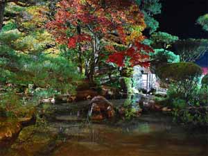 約4000坪の敷地内に日本庭園が広がります。