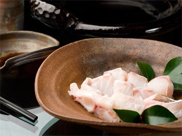 【希少な天然クエ】地元、日高産の天然クエを使った贅沢なクエ鍋。