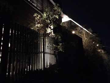 ～夜の外観～のんびりと静かな夜をお過ごしください。