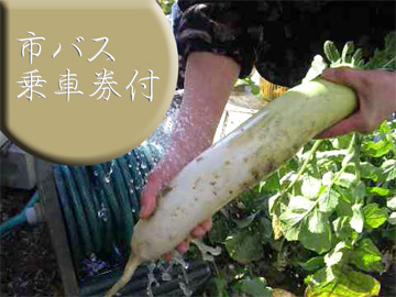 市バスが1日乗り放題♪ご朝食には人気のお弁当をどうぞ!