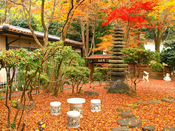 敷地内も美しい紅葉をお楽しみいただけます!