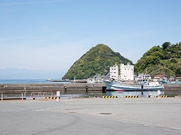 *【周辺／内浦漁港】当館目の前。ここで獲れた新鮮な海の幸をお料理に使っています