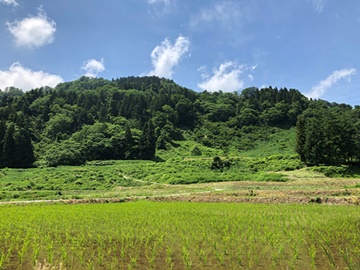 *【周辺】自然に囲まれ、澄んだ空気を感じれます♪