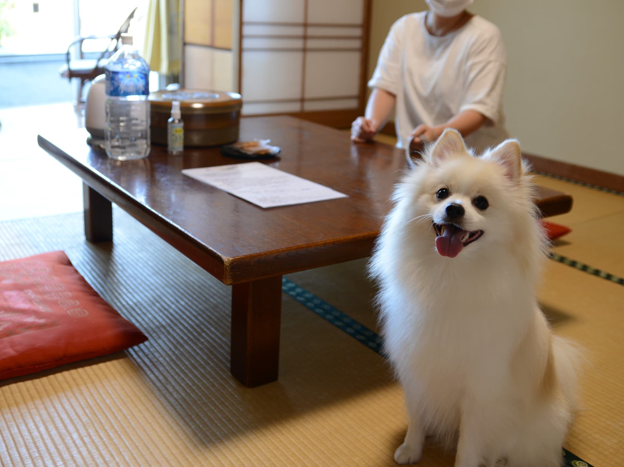 ペットも大切な家族♪動物大好きなスタッフばかりですので、安心して連れて来てください（^^）