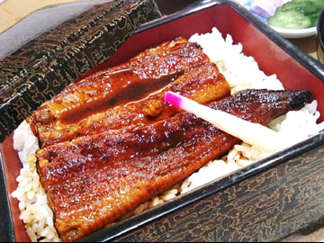 *【夕食】国産うな重