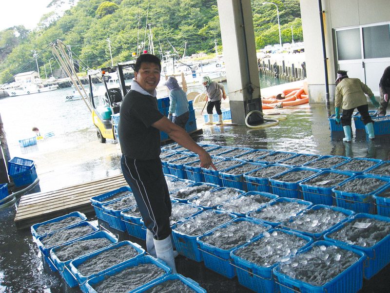 【島の風景】市場で新鮮な魚を見極めています！