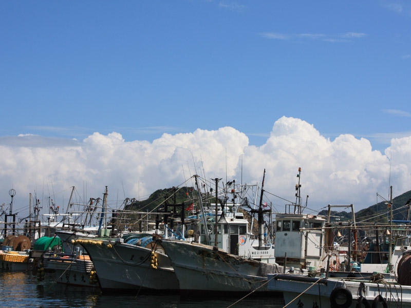 漁船が港を行きかう風景は、島の日常そのもの