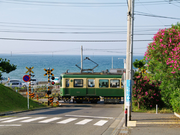 *【江ノ電】夏／七里ガ浜～稲村ケ崎（車で6分・電車で15分）※写真提供：鎌倉市観光協会