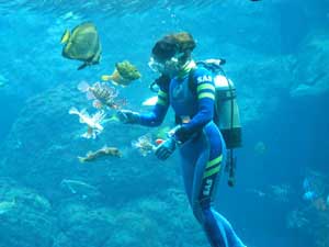 大人気の観光スポット！新江ノ島水族館