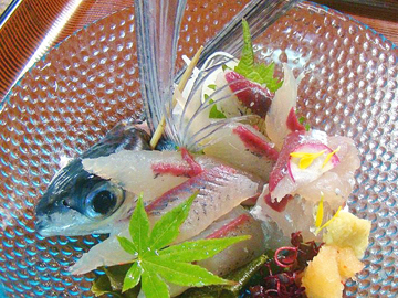 【夏のお料理一例】角アゴの造り