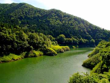 清流由良川