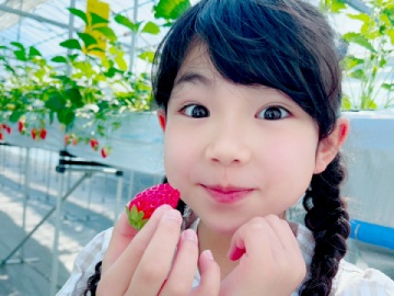 あま～いイチゴの食べ放題☆　※期間・数量限定　ご希望の際はご連絡ください。