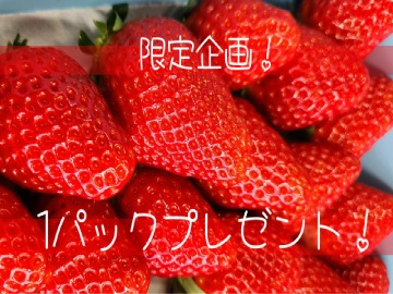 限定企画！苺１パックプレゼント！