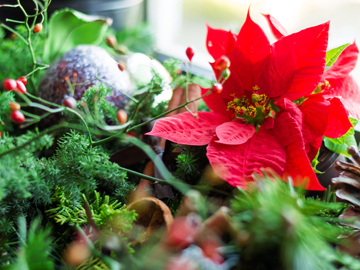 *【イメージ】クリスマスディナーは箱根の草庵で♪