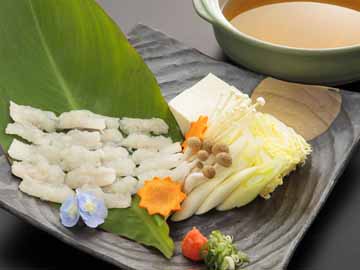 夏の味覚「鱧(ハモ)」をお楽しみください!