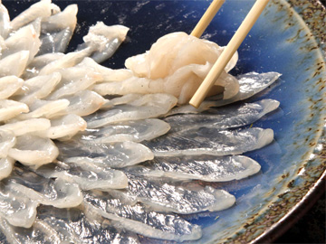 本場≪日間賀島のふぐ≫を存分に味わい尽くすならやっぱり“てっさ”