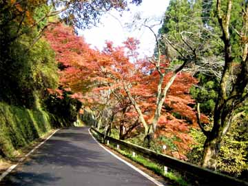 *貴船へと続く道