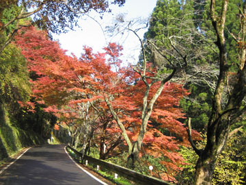 ちょっぴり大人な京・貴船の紅葉へ出掛けてみませんか？