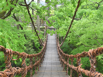 【かずら橋】独特の揺れがありスリル満点!