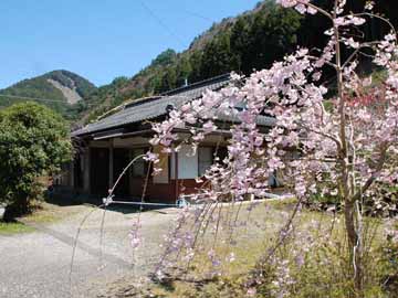 春には木の芽が芽吹き、木々に花が咲くのがご覧いただけます。