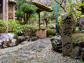 *【中庭】風情ある景色を眺めて心安らぐひと時を