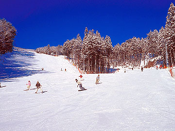 初級～上級者まで思いっきりスキー・スノーボードを満喫♪