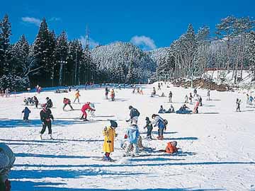 ゲレンデが目の前♪リフト券付でお得です！