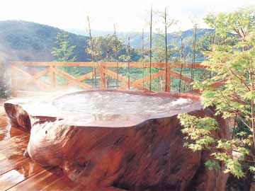 【モンスターバス】45000年前の巨木でつくった浴槽です！