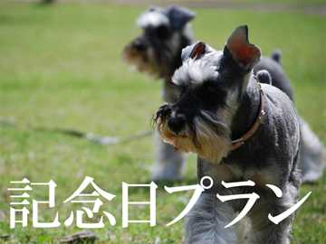 【記念日】特別な日のお祝いに★飼い主様のケーキ付きです！