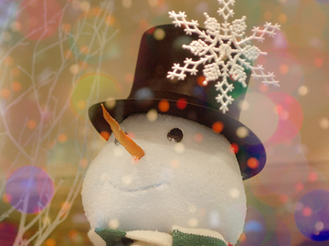 *【イメージ】クリスマスは大切な愛犬と特別なひと時をお過ごしください♪
