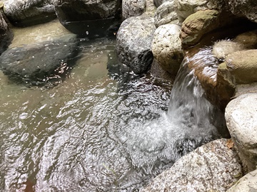 *【露天風呂】七沢温泉はpH9.72の強いアルカリ性。美肌の湯として長く親しまれております。