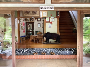 *【玄関】山間に佇む静かな湯宿、七沢温泉「中屋旅館」へようこそ。