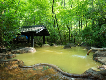 *温泉(露天風呂・女性)