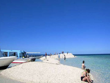 *西表島の北部にあるサンゴで作られた無人島「バラス島」。遮るものが無い為、日焼けにはご注意ください。
