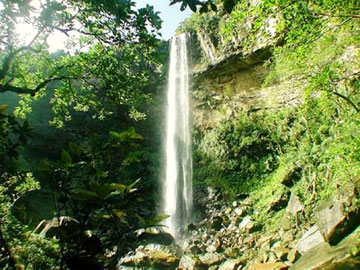 *落差55mの沖縄最大の滝「ピナイサーラ」。ツアーでは滝つぼまで行くことができます。